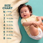 Pampers Splashers Swim Diapers, Size 6+, 15 Count, Disposable Swim Diapers, Contains Mess, No Swell