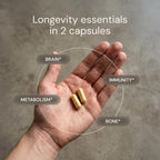 Blueprint Bryan Johnson Essential Capsules - Daily Multivitamin/Multimineral for Women and Men - Antioxidant Supplement with Calcium, Vitamin B1, Vitamin D, and Zinc - Vegan and Non GMO (30 Servings)