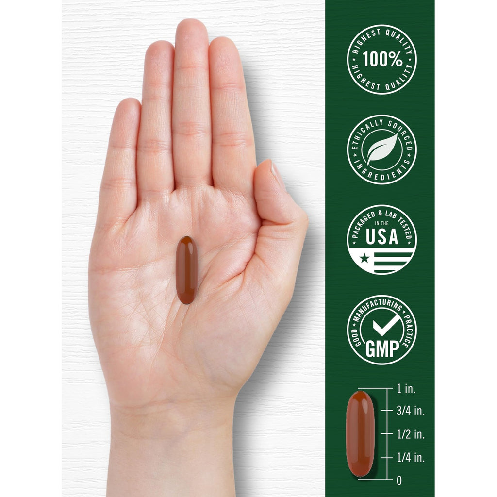 Carlyle Sunflower Lecithin Softgel Capsules | 2400mg | 200 Pills