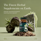 Buy now Gaia Herbs Ashwagandha Root - Stress Relief & Sleep Support Supplement - Supports Balanced Energy Levels & Positive Outlook* - 120 Vegan Liquid Phyto Capsules (60-Day Supply) at indiglob india