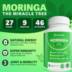 Buy now Rosabella Moringa Capsules - Pure Moringa Powder, Energy, Skin, Immune & Gut Health Superfood, Rich in Antioxidants, Essential Vitamins & Amino Acids, Natural Green Superfood Supplement - 120 Count at indiglob india