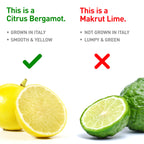 Citrus Bergamot Supplement, 170:1 Extract, 1200mg, 80% Polyphenols, Italian Citrus Bergamot Supplement, 60 Capsules, 1 Month, Made in the USA