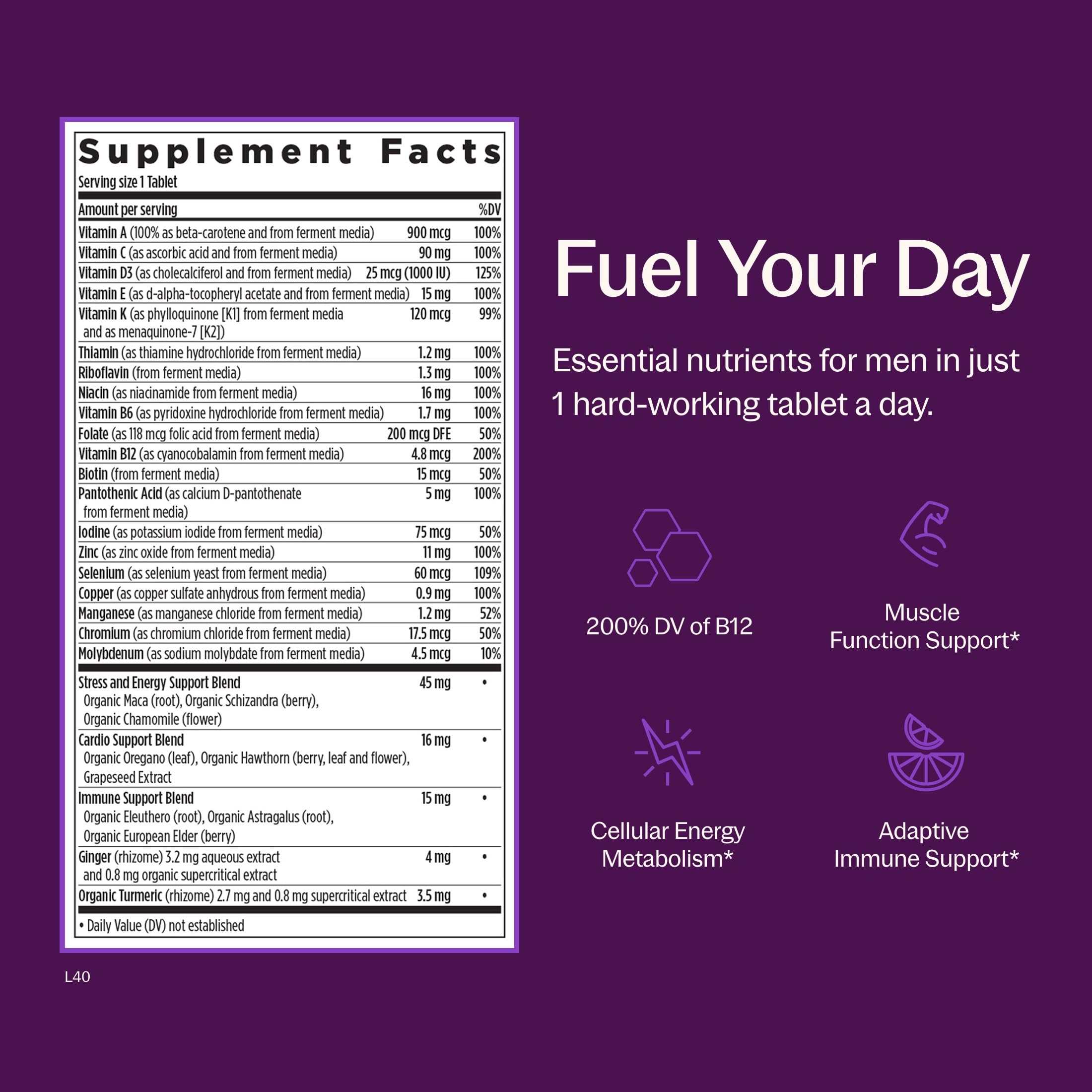 New Chapter Every Man's One Daily Multivitamin, 96 Tablets | Fermented Ingredients for Immune, Cellular Energy, and Bone Health, Vegetarian, Kosher and Gluten Free