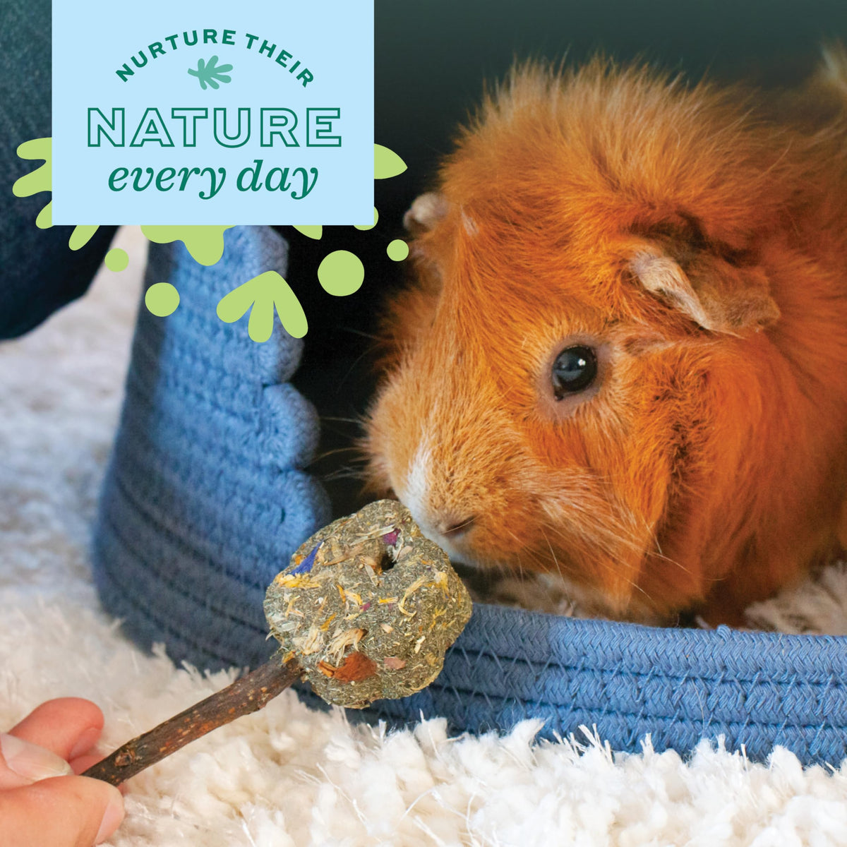 Oxbow Timothy Hay Popsicle, Rabbit Toy & Guinea Pig Chew Toy, Apple Carrot