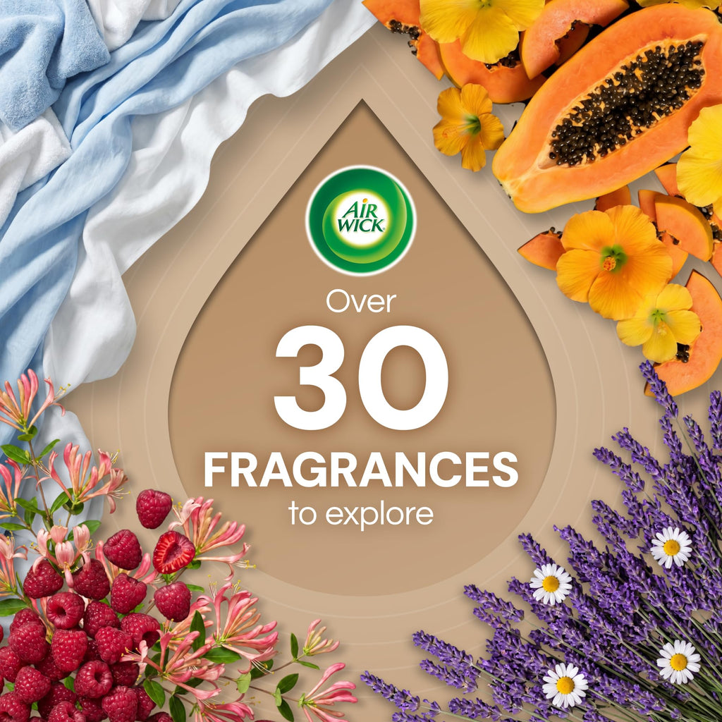 Air Wick Plug-In Scented Oil Refills, Warm Woods & Jasmine, 4 Count