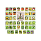 Set of 43 Assorted Vegetable & Herb Seed Packets - Over 10,000 Seeds! - Includes Mylar Storage Bag - Deluxe Garden Heirloom Seeds - 100% Non-GMO