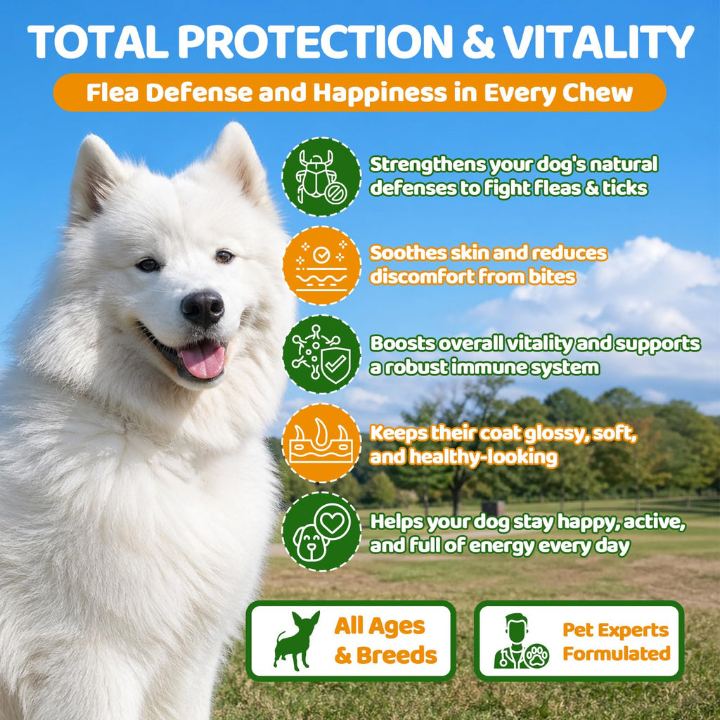 Flea and Tick Prevention for Dogs Chewables with Multivitamins, 500ct
