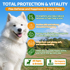 Flea and Tick Prevention for Dogs Chewables with Multivitamins, 500ct