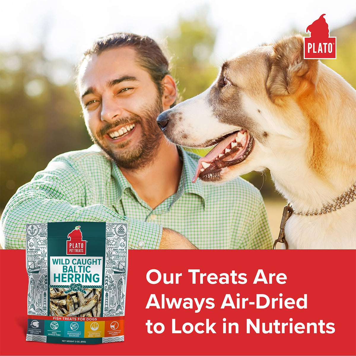 Plato Pet Treats Fish Dog Treats, Wild Caught Baltic Herring, 3 oz, 2 Pack
