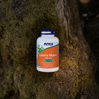 Buy now NOW Foods Supplements, Lion's Mane 500 mg, Super Mushroom, Made with Organic Lion's Mane Mushrooms, 60 Veg Capsules at indiglob india