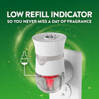 Air Wick Scented Oils Plug in Refill, Summer Delights, Essential Oil, 5ct