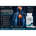 Kappa Nutrition Powered by Magbrain™ Magnesium L-Threonate Plant-Based, 420mg Elemental Magnesium (3 Capsules) from 2,253mg, 120 Vegan Capsules, Brain, Sleep & Muscle Support.