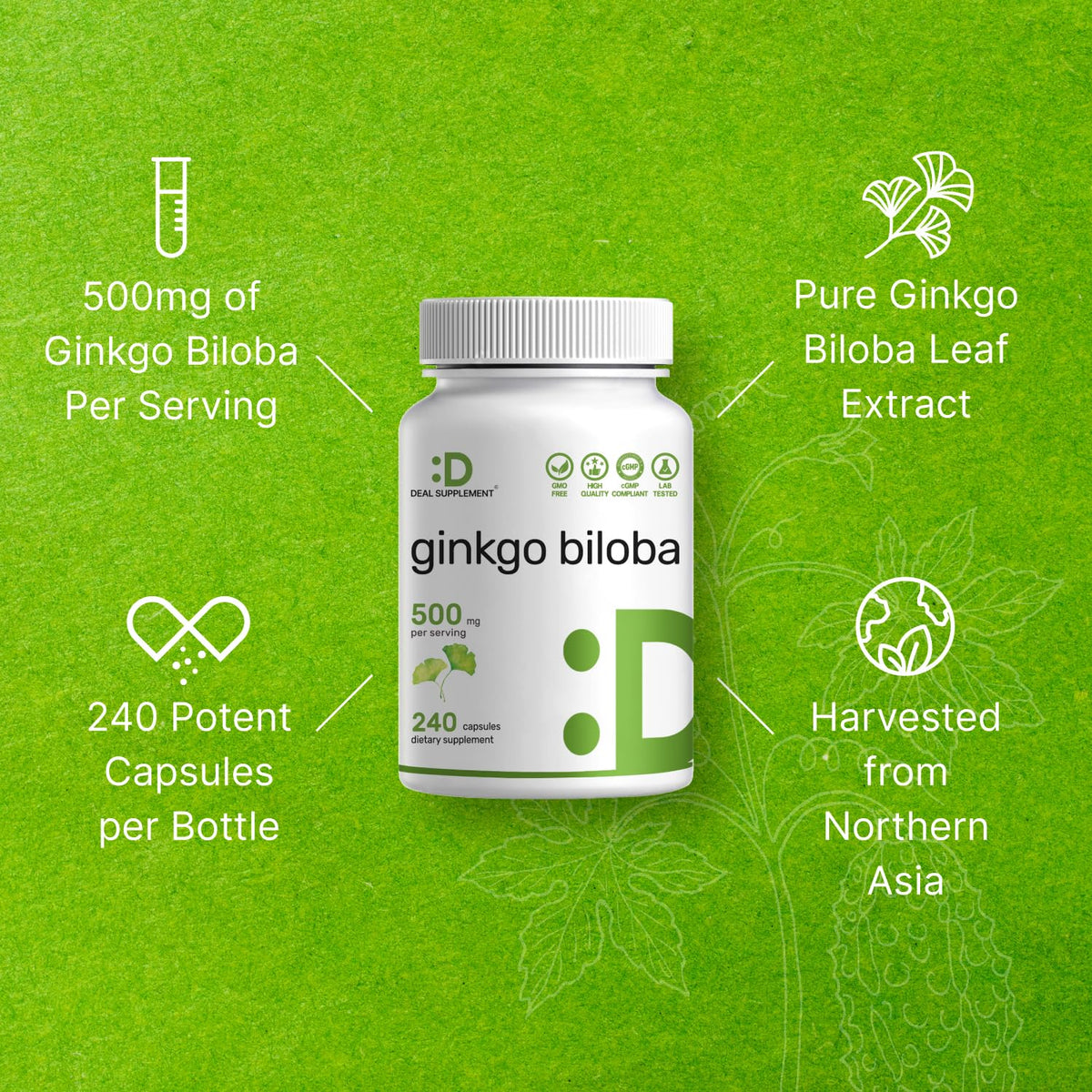 DEAL SUPPLEMENT Ginkgo Biloba 500mg Per Serving, 240 Capsules, 4 Month Supply – Grown in Northern Asia – Extra Strength, Promotes Brain Function