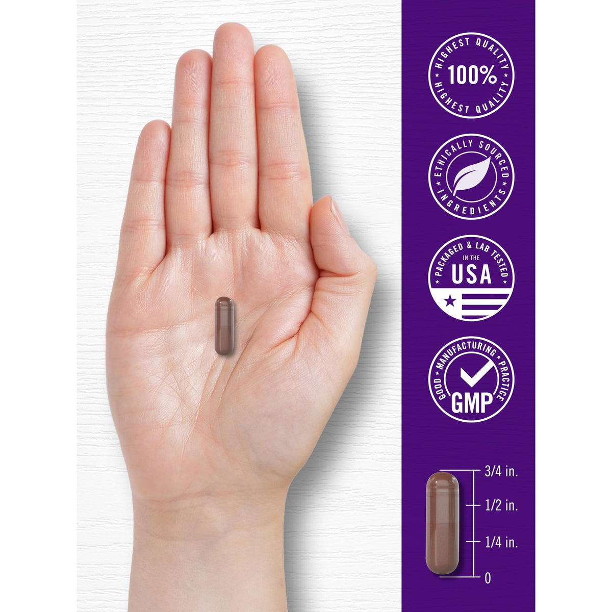 Carlyle Grape Seed Extract | 120 Quick Release Capsules