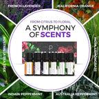 Buy now Essential Oils Set by Pure Aroma - Top 6 Aromatherapy Oils Gift Set-6 Pack, 10ml (Eucalyptus, Lavender, Lemongrass, Sweet Orange, Peppermint, Tea Tree) at indiglob india
