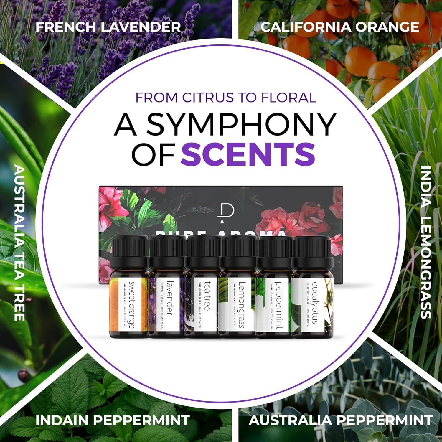 Buy now Essential Oils Set by Pure Aroma - Top 6 Aromatherapy Oils Gift Set-6 Pack, 10ml (Eucalyptus, Lavender, Lemongrass, Sweet Orange, Peppermint, Tea Tree) at indiglob india