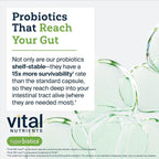 Buy now Hyperbiotics Vital Nutrients Pro Dental Probiotic | Clinically Studied BLIS K12 and M18 | Oral Probiotics for Bad Breath Treatment for Adults | Oral Health for Teeth and Gums | 45 Mint Tablets at indiglob india