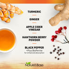 Nature's Base Turmeric and Ginger Supplement with Curcumin, ACV & BioPerine | Joint & Digestive Support, 95% Curcuminoids, Apple Cider Vinegar, Black Pepper Extract for Enhanced Absorption, 240 Capsules