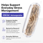 Night Shred Night Time Fat Burner & Natural Sleep Support, 30 Servings | Ashwagandha, 5-HTP, CLA & Melatonin; Appetite suppressant; Supports sleep & fat burning; 60 vegetarian capsules