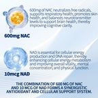 NAC 600mg Non-GMO, Gluten Free,Organic NAC Supplement N-Acetyl Cysteine Capsules with NAD+ for Cellular & Lung Health, 300 Softgels