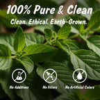 Spice Profile Organic Indian Tulsi Cut & Sifted | 2 oz | Lab Tested