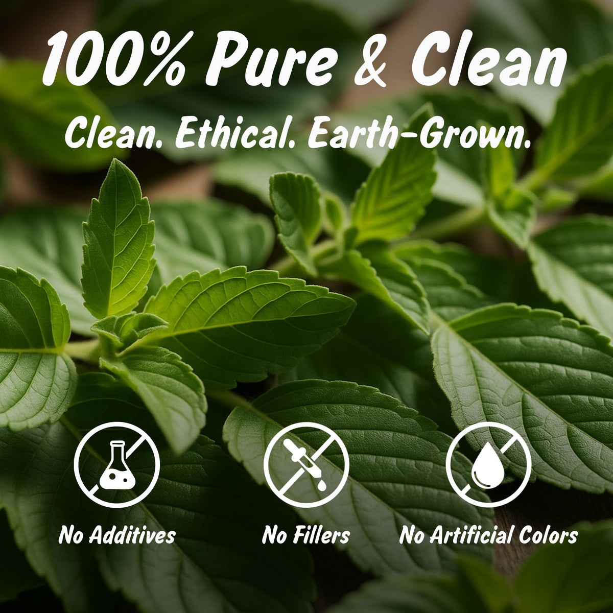 Spice Profile Organic Indian Tulsi Cut & Sifted | 2 oz | Lab Tested