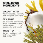 Buy now Pacifica Beauty Sea Foam Face Wash, Daily Gentle Foaming Cleanser, With Coconut Water + Sea Algae, Removes Makeup, For Combination and Oily Skin, Vegan & Cruelty Free at indiglob india