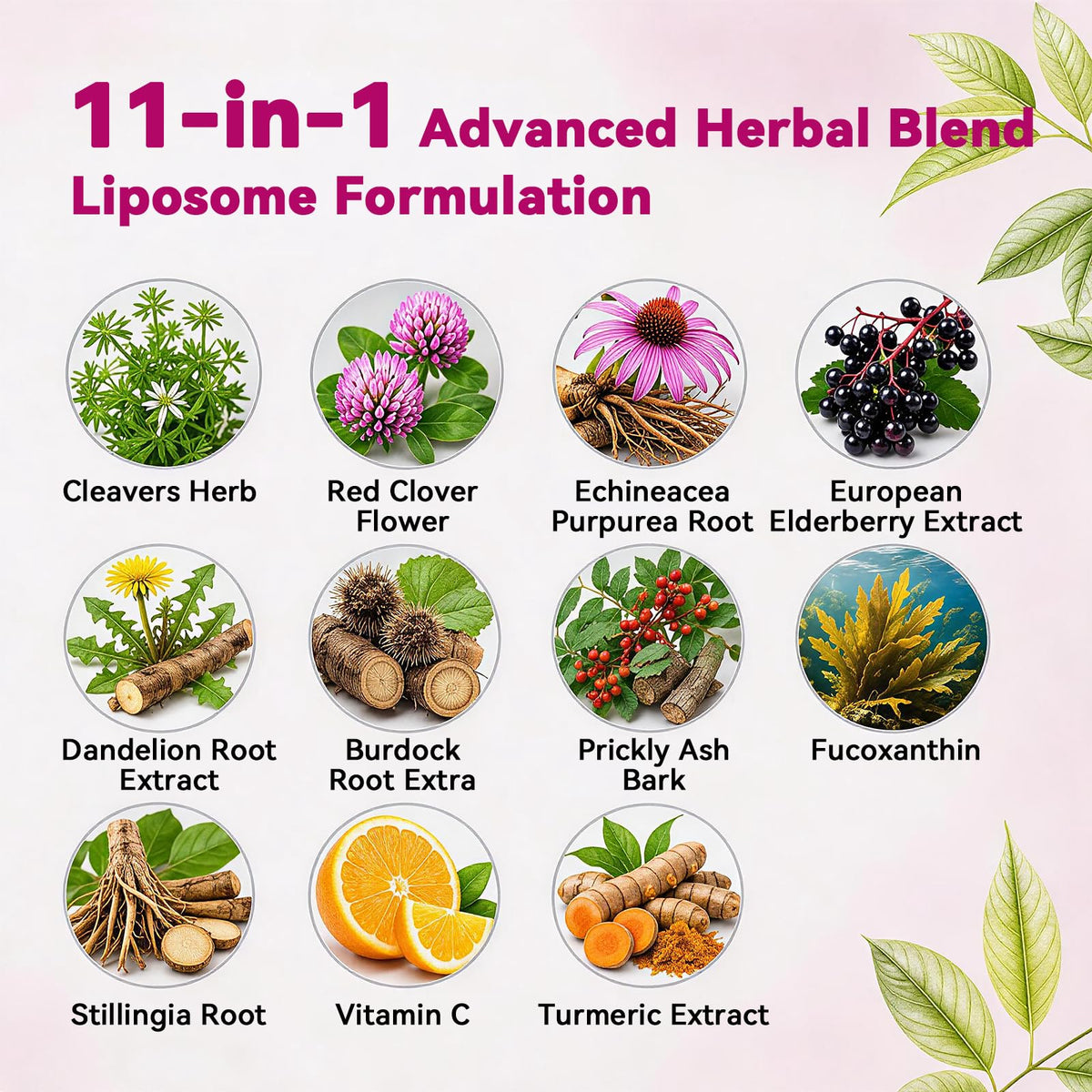 Liposomal Lymphatic Drainage Drops