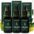 Betterbrand Mullein Drops, Alchohol-Free Lung Detox with Chlorophyll | 30:1 Mullein Leaf Tincture, Lung Cleanse, Long-Term Lung & Respiratory Health, Mullein Drops Supplement, Improved Airflow