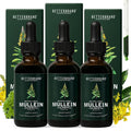 Betterbrand Mullein Drops, Alchohol-Free Lung Detox with Chlorophyll | 30:1 Mullein Leaf Tincture, Lung Cleanse, Long-Term Lung & Respiratory Health, Mullein Drops Supplement, Improved Airflow