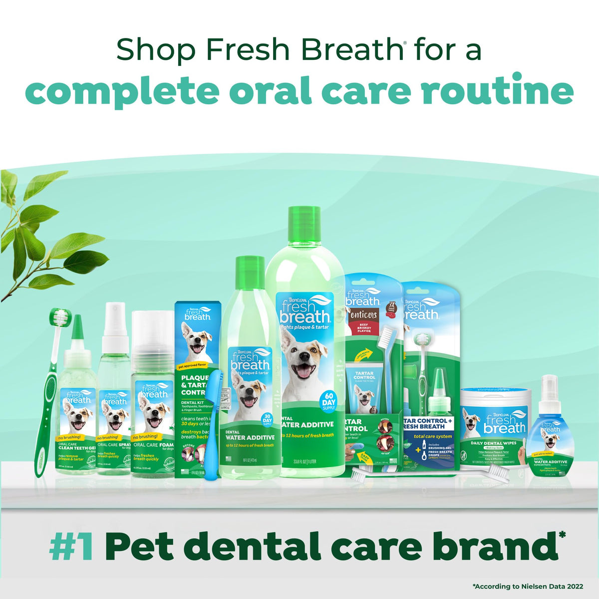 TropiClean Fresh Breath Dog Teeth Cleaning Dental Wipes, 50ct