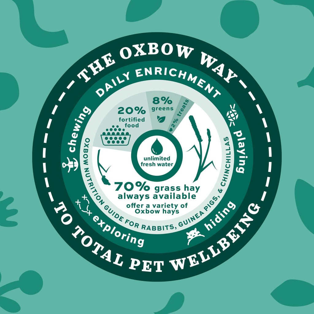 Buy now Oxbow Orchard Grass Hay, Rabbit & Guinea Pig Hay, High Fiber for Digestive Health, Grown in the USA, Veterinarian Recommended Small Pet Supplies, for Rabbits, Guinea Pigs, & Chinchillas, 15 oz. at indiglob india