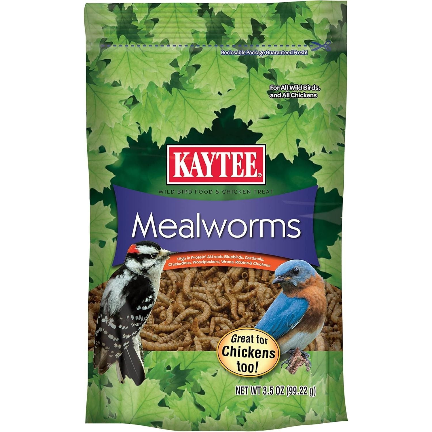 Buy now Kaytee Wild Bird Food Mealworms For Bluebirds, Wrens, Robins, Chickadees, Woodpeckers, Cardinals & Chickens, 3.5 Ounce 3.5 Ounce (Pack of 1) at indiglob india
