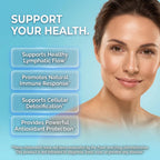 Lymphatic Drainage Drops - Organic Lymphatic Support Supplement with Burdock Root Echinacea Elderberry Dandelion Astragalus Milk Thistle Sea Moss Red Clover Marigold Drop by Clean Nutra