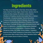 GloFish Special Flake Food for Fish, 3.17 Ounces, Treat GloFish and Small to Mid-Sized Tropical Freshwater Fish to a Nutritionally Complete Blend