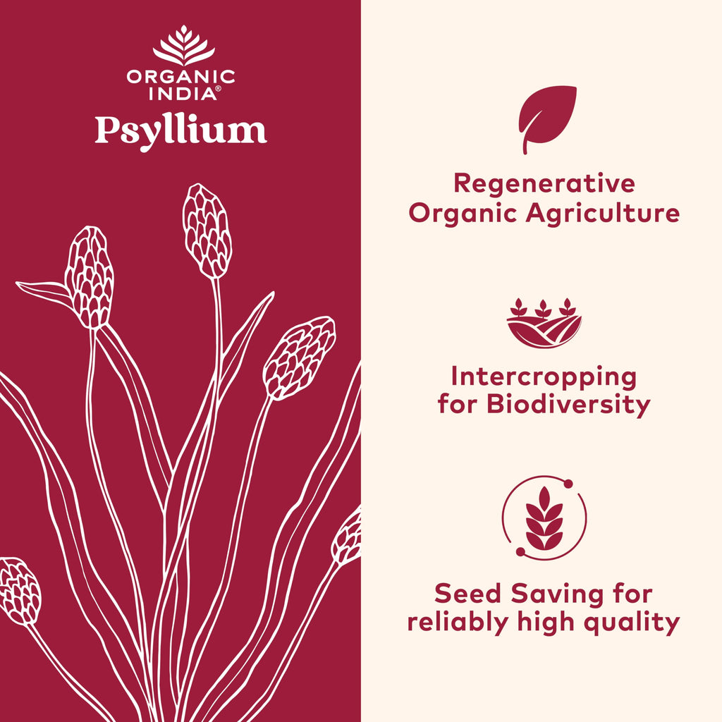 Organic India Psyllium Herbal Powder, Whole Husk Fiber Supplement, 12 oz