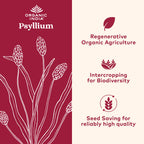 Organic India Psyllium Herbal Powder, Whole Husk Fiber Supplement, 12 oz