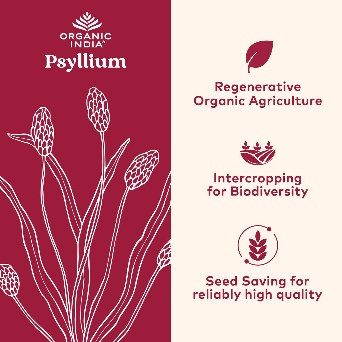 Organic India Psyllium Herbal Powder, Whole Husk Fiber Supplement, 12 oz