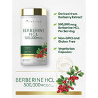 Carlyle Berberine HCL Supplement | 500,000mcg | 60 Capsules | Vegetarian, Non-GMO, Gluten Free