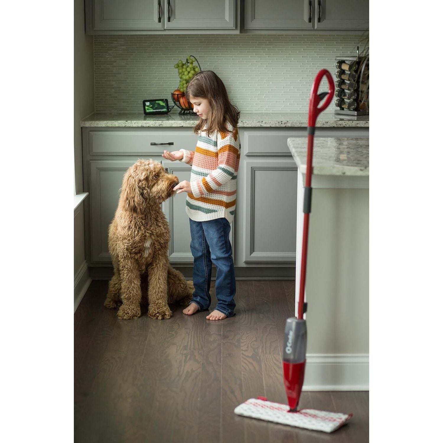 Buy now O-Cedar ProMist MAX Microfiber Spray Mop, Red at indiglob india