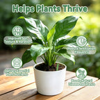 RAINFLOW 90PCS Plant Fertilizer Sticks - Indoor Plant Food Spikes for Pots
