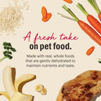 The Honest Kitchen Wholemade Whole Grain Chicken Recipe, Human Grade Dehydrated Dog Food, Just Add Water, Supports Healthy Digestion, Skin & Coat, Topper for Dry or Wet Dog Food, 4 lb Box Makes 16 lbs