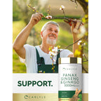 Carlyle Panax Ginseng & Ginkgo | 120 Vegetarian Capsules | Non-GMO & Gluten Free Supplement