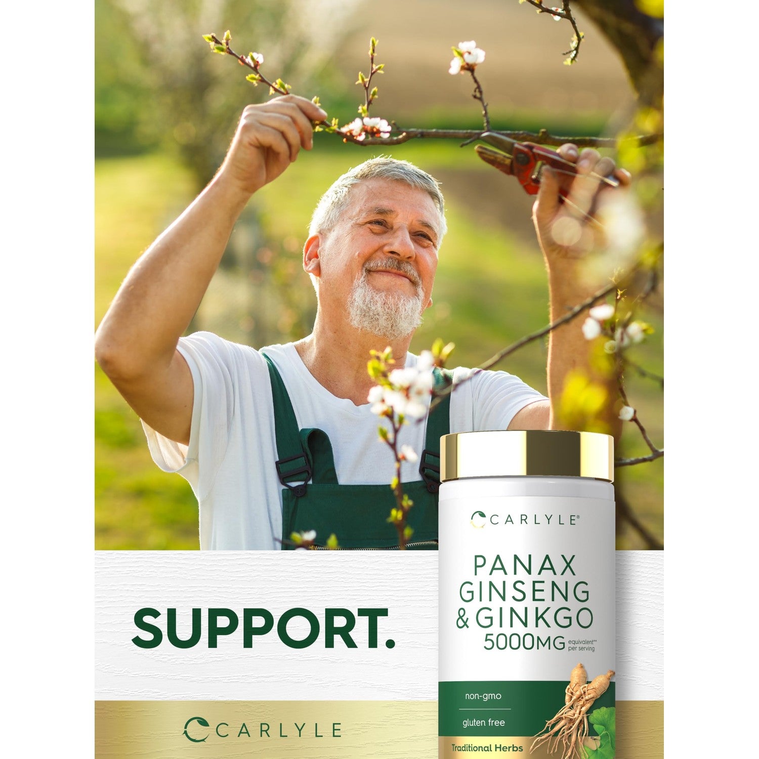 Carlyle Panax Ginseng & Ginkgo | 120 Vegetarian Capsules | Non-GMO & Gluten Free Supplement