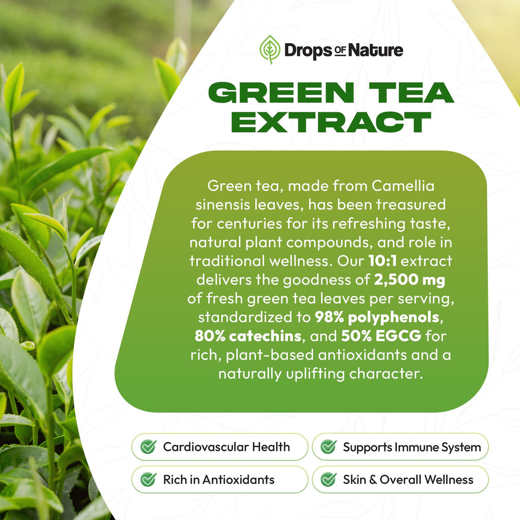 Drops of Nature Green Tea 10:1 Extract Liquid Supplement - Pineapple, 60 mL | 50% EGCG, 80% Catechins, Antioxidant & Immune Health Support, 4X Faster Absorption than Pills & Capsules, Vegan, Gluten-Free