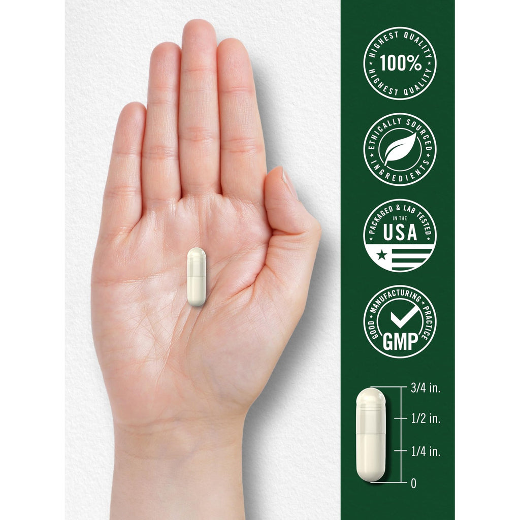 Carlyle Wild Yam Root Capsules | 200 Count | Traditional Herbal Extract