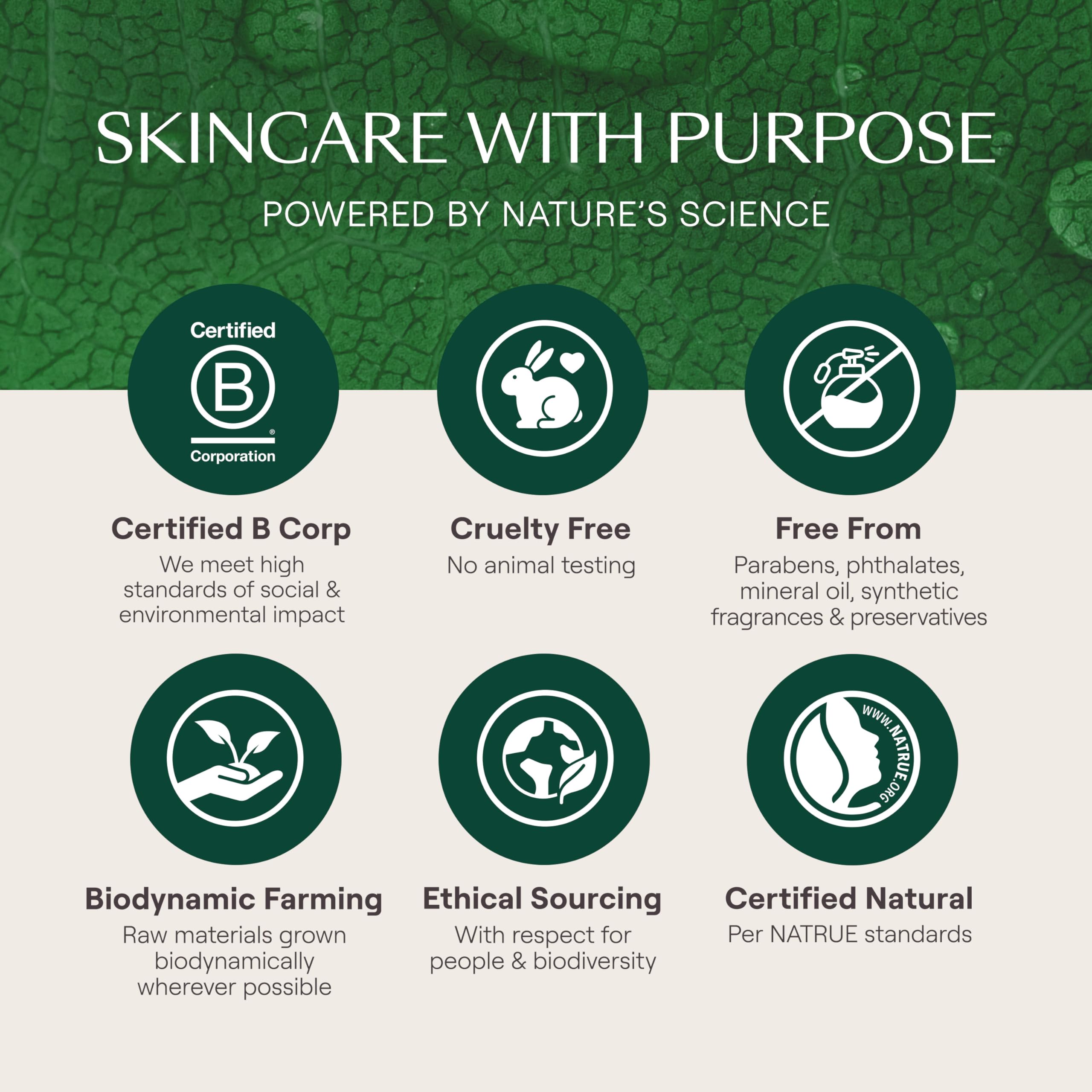 Weleda Skin Food Original Ultra-Rich Body Cream 2.5 Fluid Ounce, Plant Rich Hydrating Moisturizer with Pansy, Chamomile and Calendula