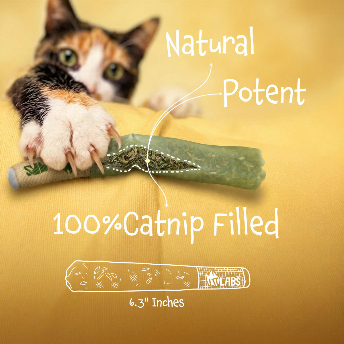 LIT LABS Cat Doobie 3 Pack Catnip Toys for Cats, Funny Cat Toys, Safe Kitten Teething Chew and Kicker Toys, Stress-Relieving Indoor Cat Gifts that Hit Different