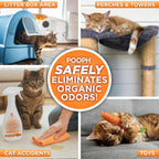 POOPH Kitty Odor Eliminator Spray for Cats, 16 fl oz