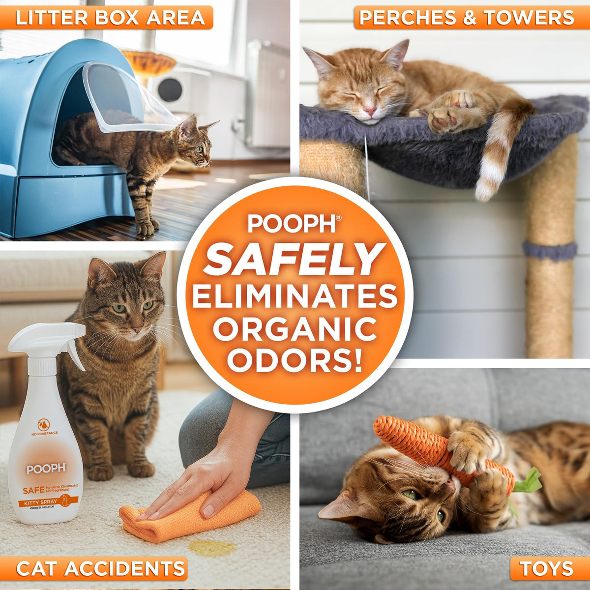 POOPH Kitty Odor Eliminator Spray for Cats, 16 fl oz